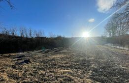 Casă 3 camere, teren 4.313mp, Patrangeni - Alba