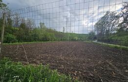 Casă 3 camere, teren 4.313mp, Patrangeni - Alba