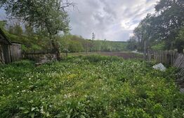 Casă 3 camere, teren 4.313mp, Patrangeni - Alba
