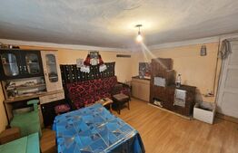 Casă 3 camere, teren 4.313mp, Patrangeni - Alba