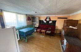 Casă 3 camere, teren 4.313mp, Patrangeni - Alba