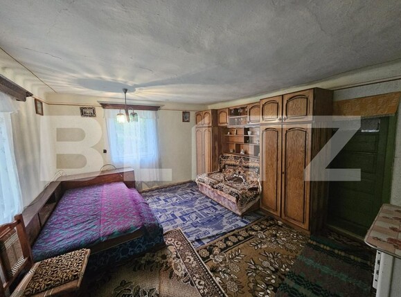 Casa de vânzare 3 camere Patrangeni - 163842CV | BLITZ Alba Iulia | Poza6