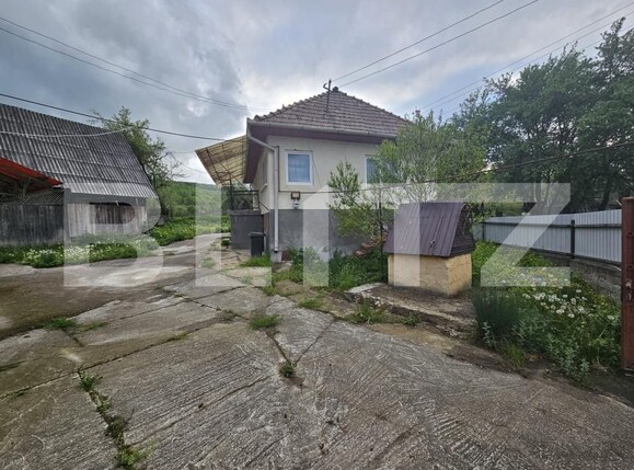Casa de vânzare 3 camere Patrangeni - 163842CV | BLITZ Alba Iulia | Poza4
