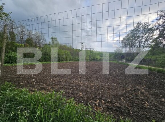 Casa de vânzare 3 camere Patrangeni - 163842CV | BLITZ Alba Iulia | Poza10