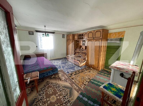 Casa de vânzare 3 camere Patrangeni - 163842CV | BLITZ Alba Iulia | Poza9