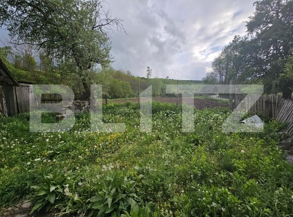 Casa de vânzare 3 camere Patrangeni - 163842CV | BLITZ Alba Iulia | Poza9