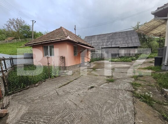 Casa de vânzare 3 camere Patrangeni - 163842CV | BLITZ Alba Iulia | Poza3