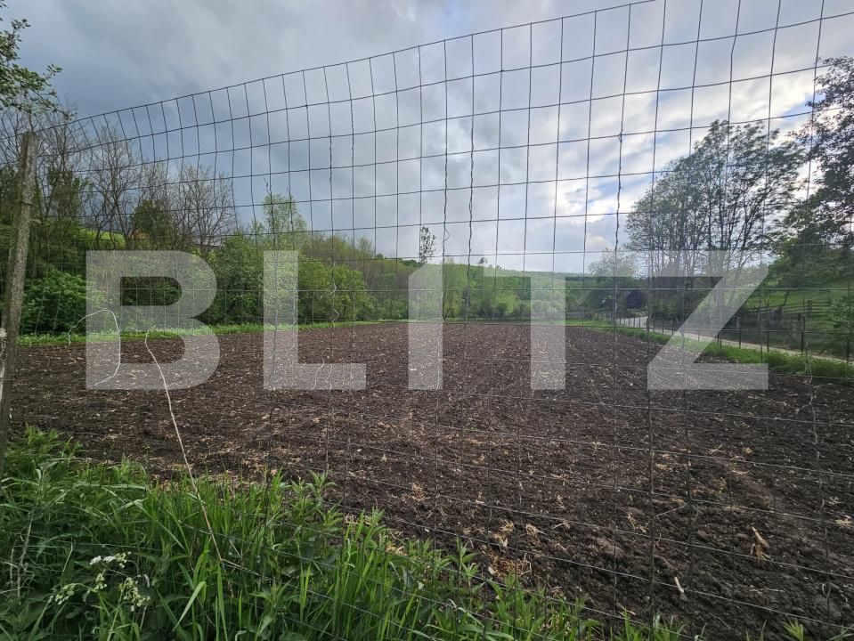 Casa de vânzare 3 camere Patrangeni - 163842CV | BLITZ Alba Iulia | Poza10