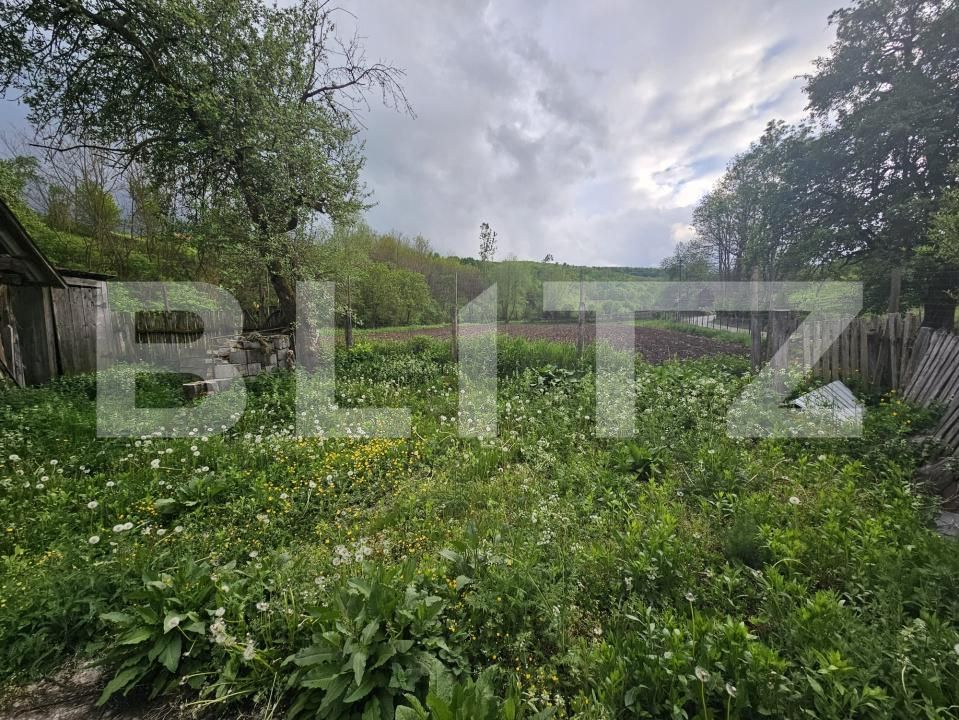 Casa de vânzare 3 camere Patrangeni - 163842CV | BLITZ Alba Iulia | Poza9