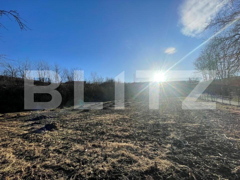 Casa de vânzare 3 camere Patrangeni - 163842CV | BLITZ Alba Iulia | Poza6