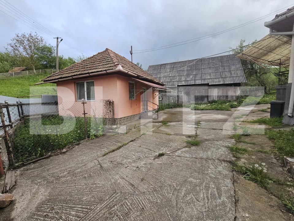 Casa de vânzare 3 camere Patrangeni - 163842CV | BLITZ Alba Iulia | Poza3