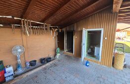 Casa impunatoare si spatioasa, 9 camere, zona Alba-Micesti
