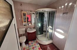 Casa impunatoare si spatioasa, 9 camere, zona Alba-Micesti