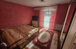 Casa impunatoare si spatioasa, 9 camere, zona Alba-Micesti