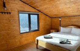 Cabana de vânzare, 10 camere cu baie proprie fiecare, 270 mp, pe Transapuseana