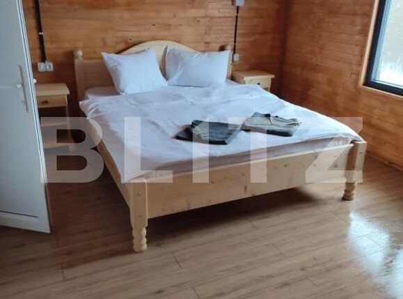 Casa de vânzare 11 camere Bucium - 163952CV | BLITZ Alba Iulia | Poza9