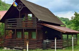 Casa de vacanță în Valea Inzelului – TRANSAPUSEANA, 459 mp totali.