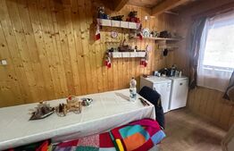 Casa de vacanță în Valea Inzelului – TRANSAPUSEANA, 459 mp totali.