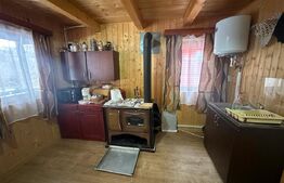 Casa de vacanță în Valea Inzelului – TRANSAPUSEANA, 459 mp totali.