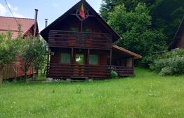 Casa de vacanță în Valea Inzelului – TRANSAPUSEANA, 459 mp totali.