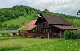Casa de vacanță în Valea Inzelului – TRANSAPUSEANA, 459 mp totali.