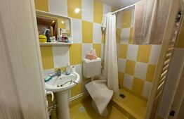 Casa de vacanță în Valea Inzelului – TRANSAPUSEANA, 459 mp totali.