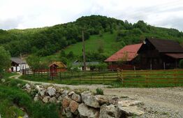 Casa de vacanță în Valea Inzelului – TRANSAPUSEANA, 459 mp totali.