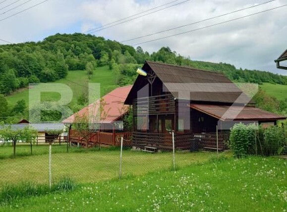 Casa de vânzare 3 camere Valea Inzelului - 164001CV | BLITZ Alba Iulia | Poza1