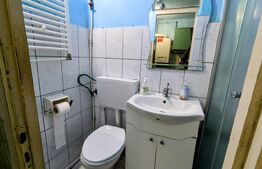 Garsoniera de vanzare, 21 mp, zona Cetate