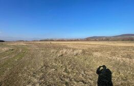 Teren Extravilan Barabant 5000mp