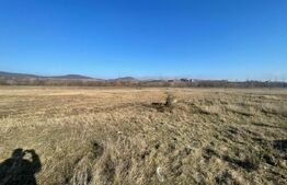 Teren Extravilan Barabant 5000mp