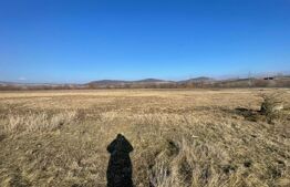 Teren Extravilan Barabant 5000mp