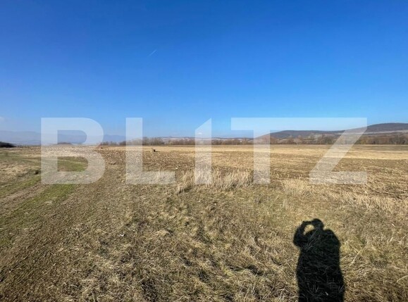 Teren de vânzare Bărăbanț - 164100TV | BLITZ Alba Iulia | Poza2