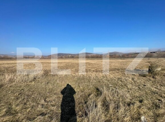 Teren de vânzare Bărăbanț - 164100TV | BLITZ Alba Iulia | Poza3