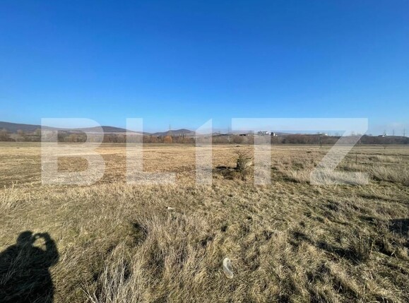 Teren de vânzare Bărăbanț - 164100TV | BLITZ Alba Iulia | Poza1