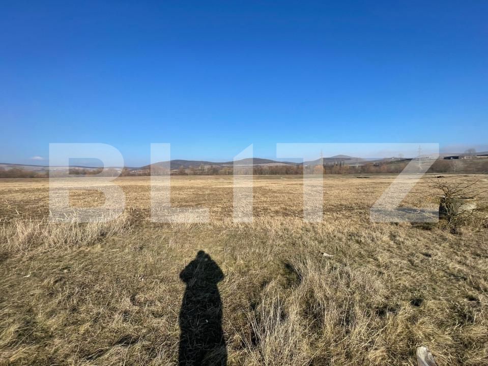 Teren de vânzare Bărăbanț - 164100TV | BLITZ Alba Iulia | Poza3