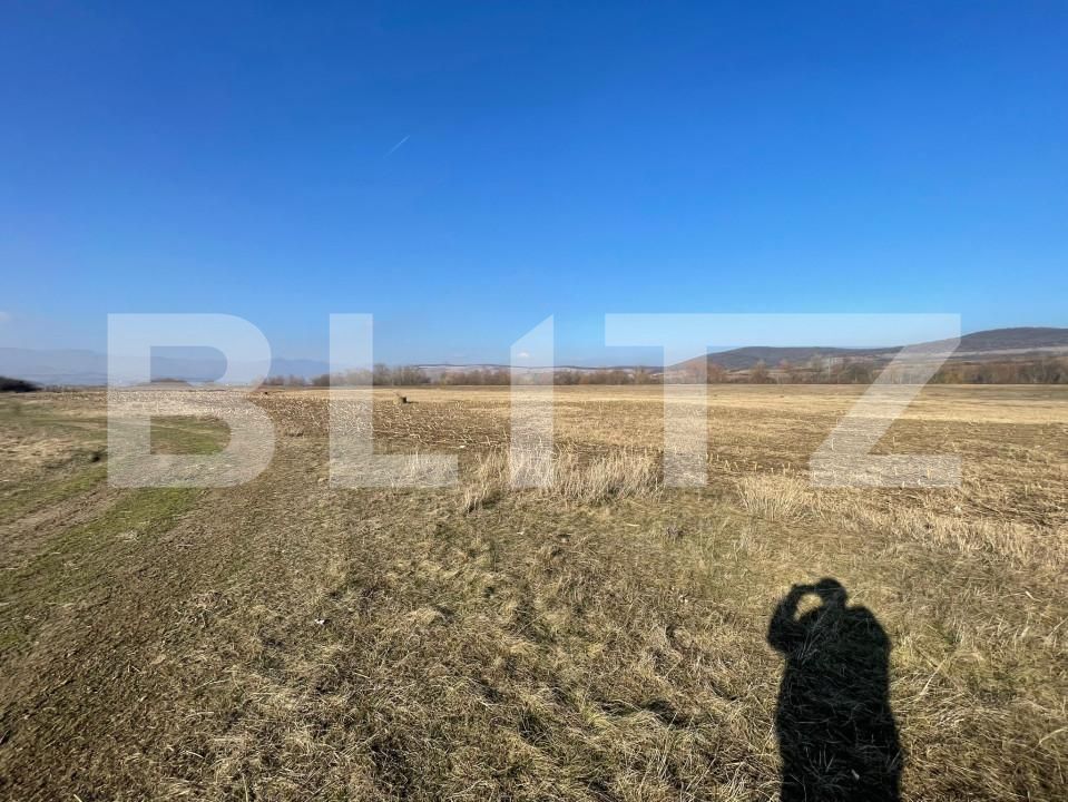 Teren de vânzare Bărăbanț - 164100TV | BLITZ Alba Iulia | Poza2