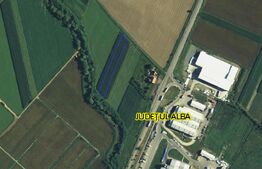 Teren intravilan 3000mp, Oiejdea