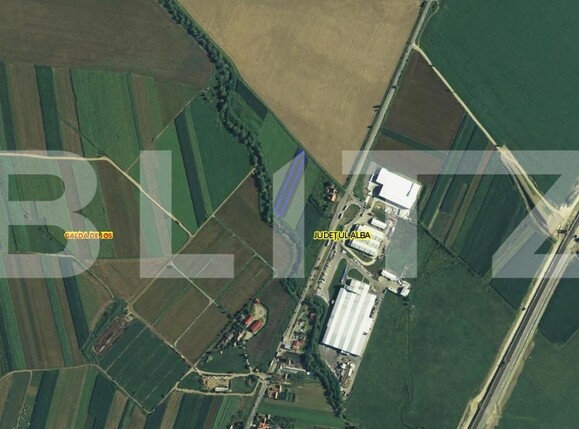 Teren de vânzare Galda de Jos - 164181TV | BLITZ Alba Iulia | Poza2