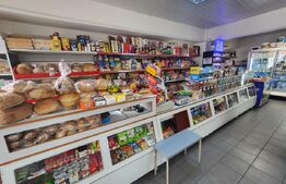 Spatiu comercial cu afacere la cheie,200 mp, zona Central