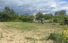 Casă cu Potențial de Extindere, Teren Generos 2304 mp, utilități complete – Aiud