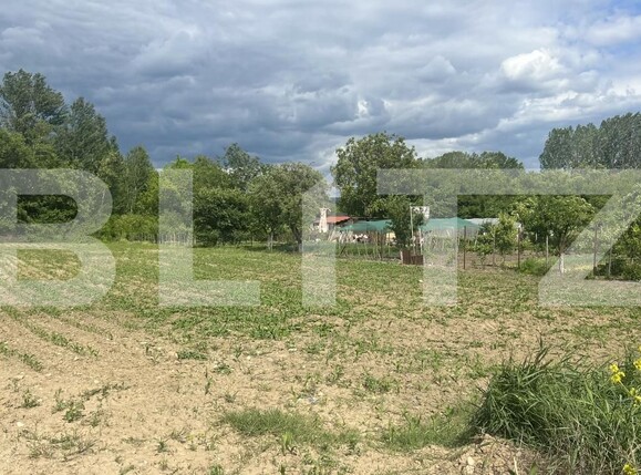 Casa de vânzare 3 camere Aiud - 164284CV | BLITZ Alba Iulia | Poza7