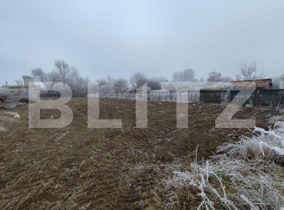 Casa de vânzare 3 camere Aiud - 164284CV | BLITZ Alba Iulia | Poza6