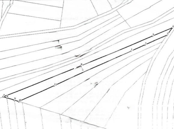 Teren de vânzare Ciugud - 164774TV | BLITZ Alba Iulia | Poza1