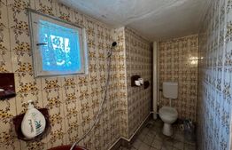 Casă de renovat, spațiu comercial și garaj, Zlatna