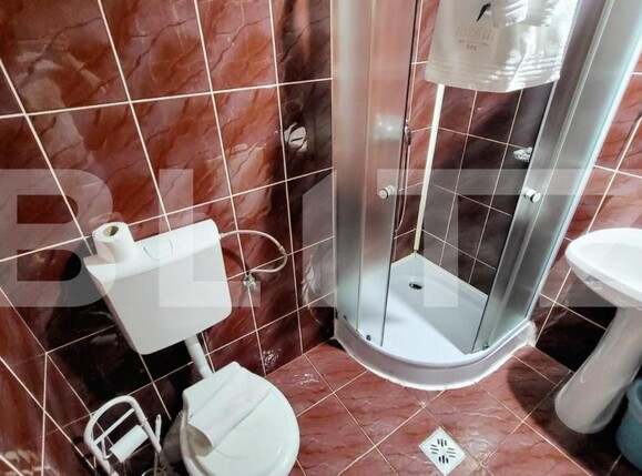 Spațiu comercial de închiriat Ampoi 3 - 165267SIC | BLITZ Alba Iulia | Poza5