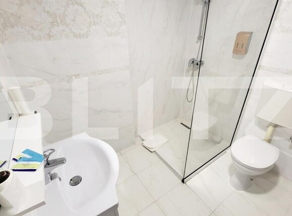 Spațiu comercial de închiriat Ampoi 3 - 165267SIC | BLITZ Alba Iulia | Poza10