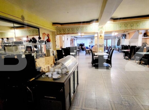 Spațiu comercial de închiriat Ampoi 3 - 165267SIC | BLITZ Alba Iulia | Poza3