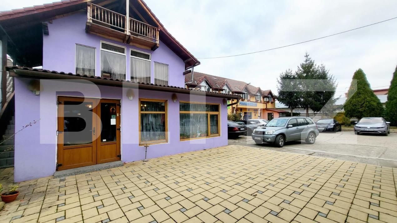 Spațiu comercial de închiriat Ampoi 3 - 165267SIC | BLITZ Alba Iulia | Poza1