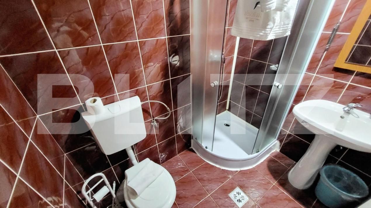 Spațiu comercial de închiriat Ampoi 3 - 165267SIC | BLITZ Alba Iulia | Poza5